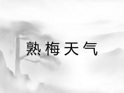 熟梅天气