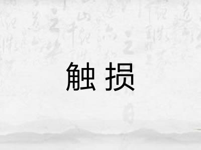 触损