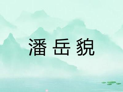 潘岳貌