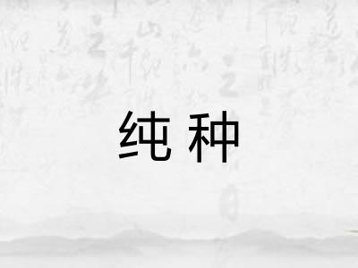 纯种