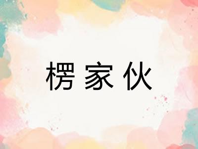 楞家伙