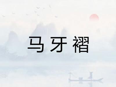 马牙褶