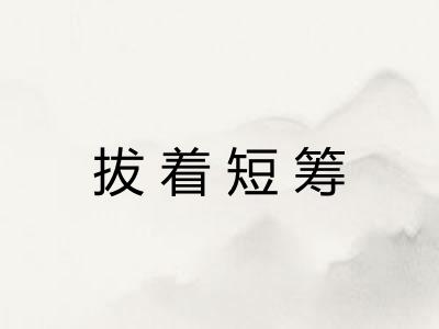 拔着短筹