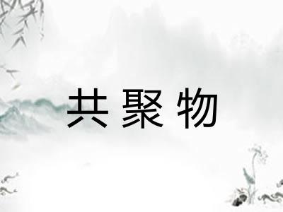 共聚物