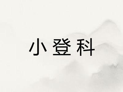 小登科