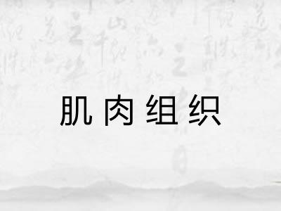 肌肉组织