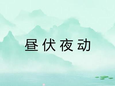 昼伏夜动
