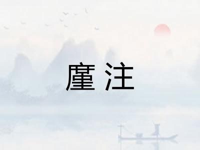 廑注
