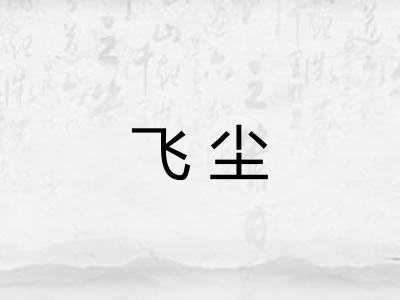 飞尘
