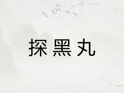 探黑丸