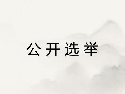 公开选举