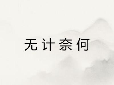 无计奈何