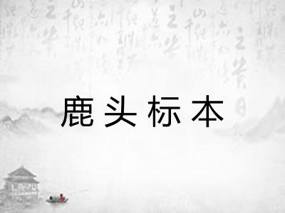 鹿头标本