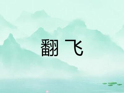 翻飞