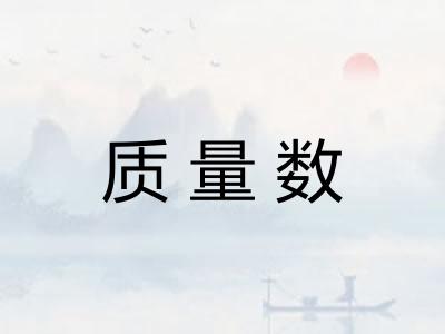 质量数