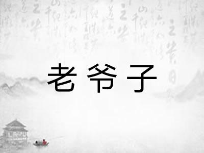 老爷子