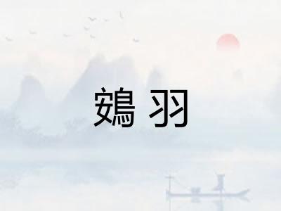 鴳羽
