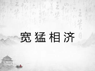 宽猛相济