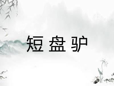 短盘驴
