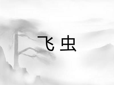 飞虫