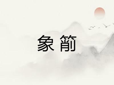 象箾