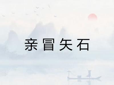 亲冒矢石