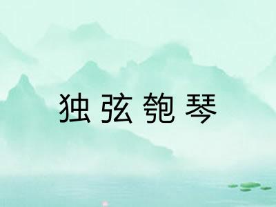 独弦匏琴
