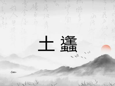 土蠭