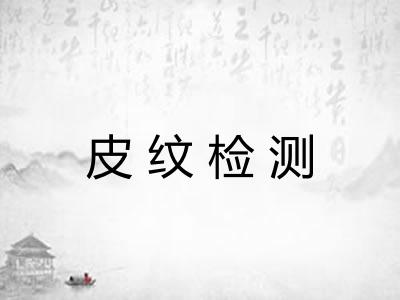皮纹检测
