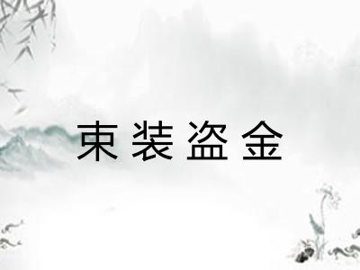 束装盗金
