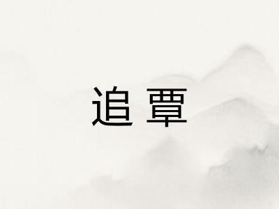 追覃