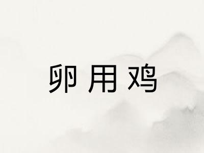卵用鸡