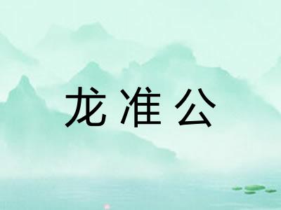 龙准公