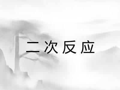 二次反应