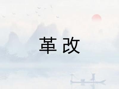 革改