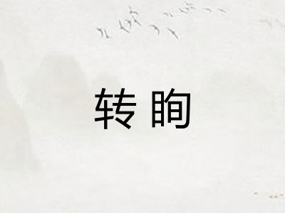 转眴