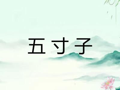 五寸子