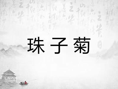 珠子菊
