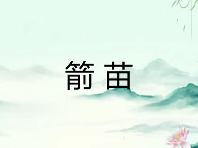 箭苗