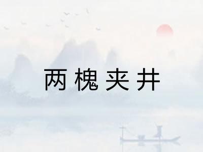 两槐夹井