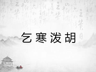 乞寒泼胡