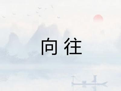 向往