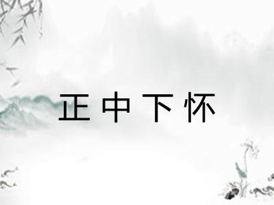 正中下怀