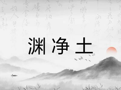 渊净土