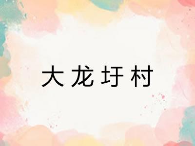 大龙圩村