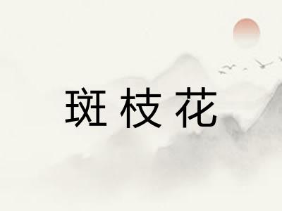 斑枝花