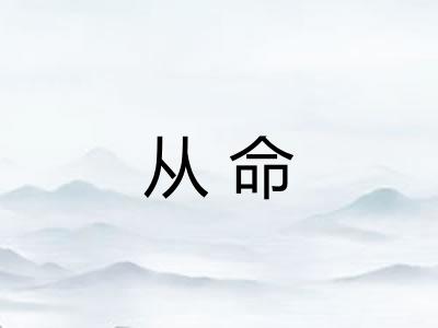 从命