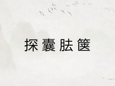 探囊胠箧