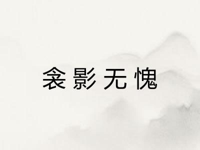 衾影无愧