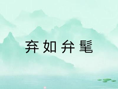 弃如弁髦